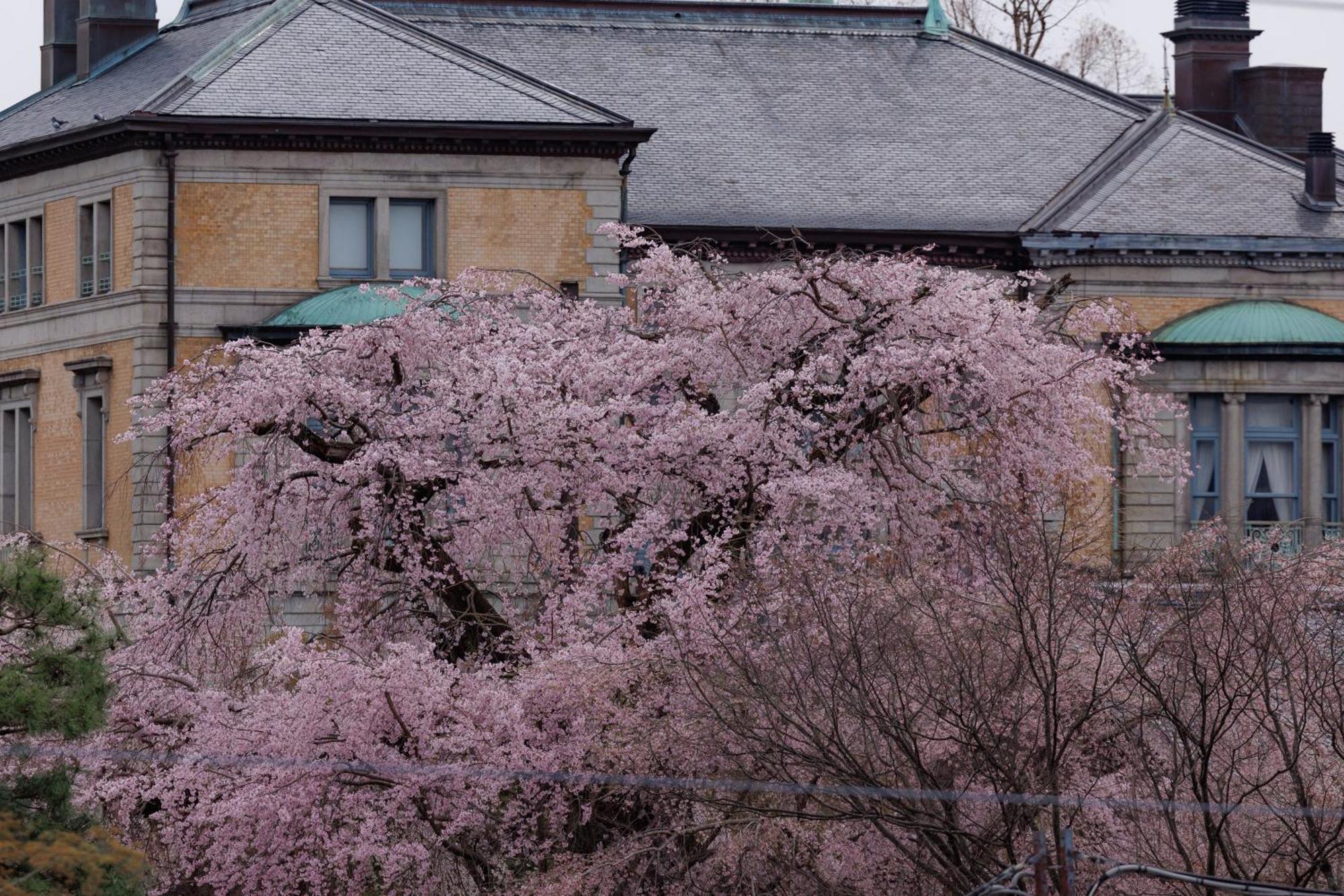 Hotel Chourakukan Kyoto Gion 長楽館 Eksteriør billede